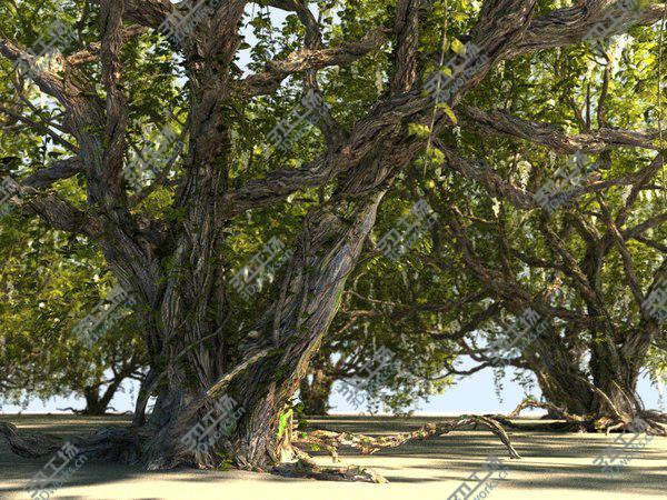 images/goods_img/20210312/3D Tree Animated HD model/2.jpg